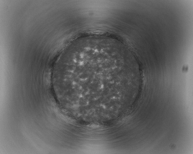 X0000113080745200909182049