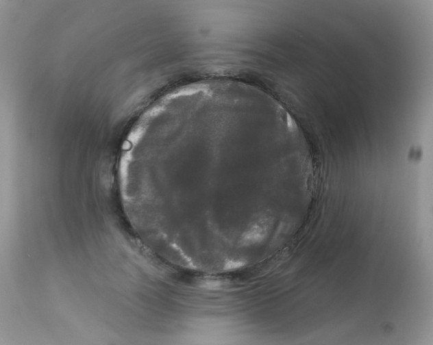 X0000113080746200909182049