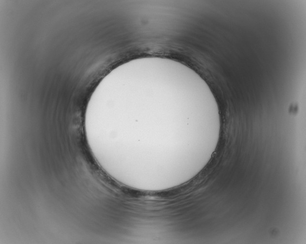 X0000113080748200909182049