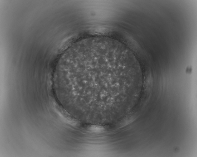 X0000113080749200909182049