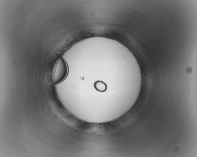 X0000113080750200909182049