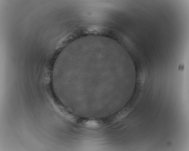 X0000113080751200909182049