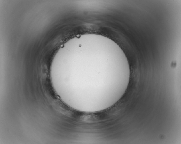 X0000113080752200909182049