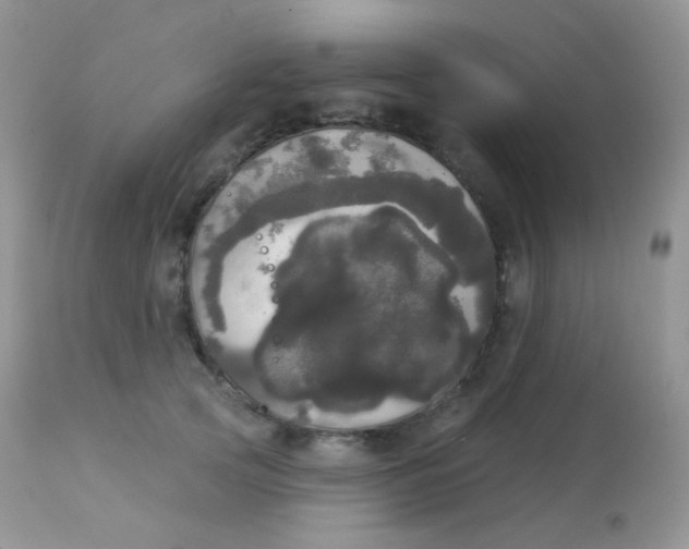 X0000113080753200909182049