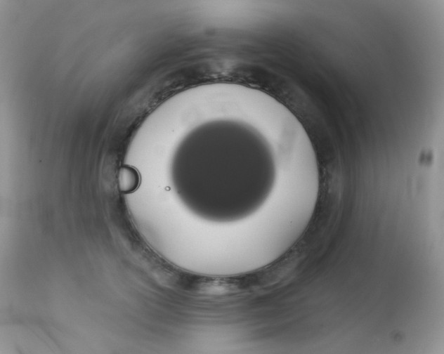 X0000113080754200909182049