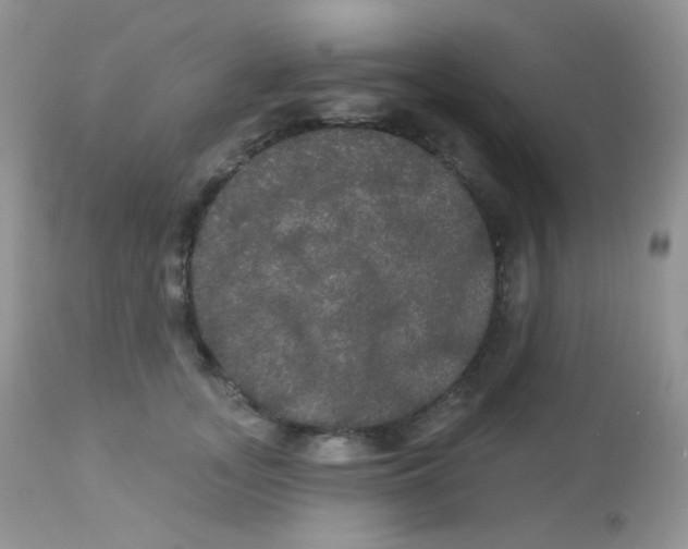 X0000113080755200909182049