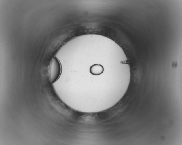 X0000113080756200909182049