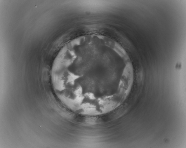 X0000113080757200909182049