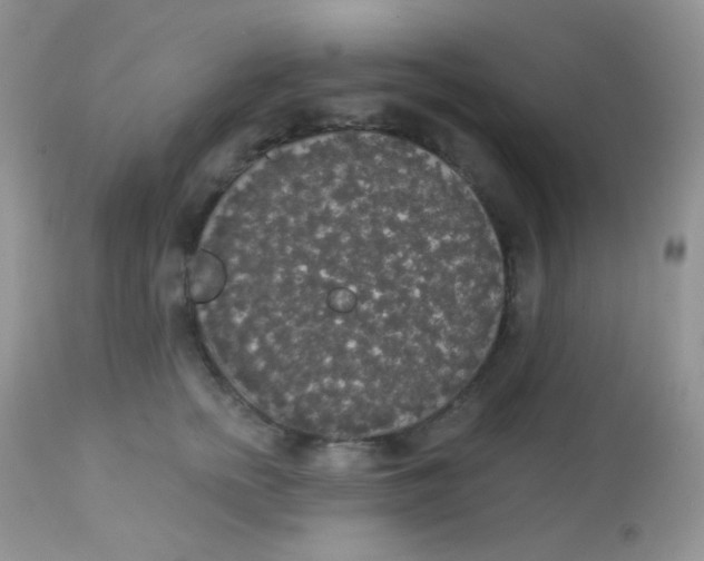 X0000113080758200909182049