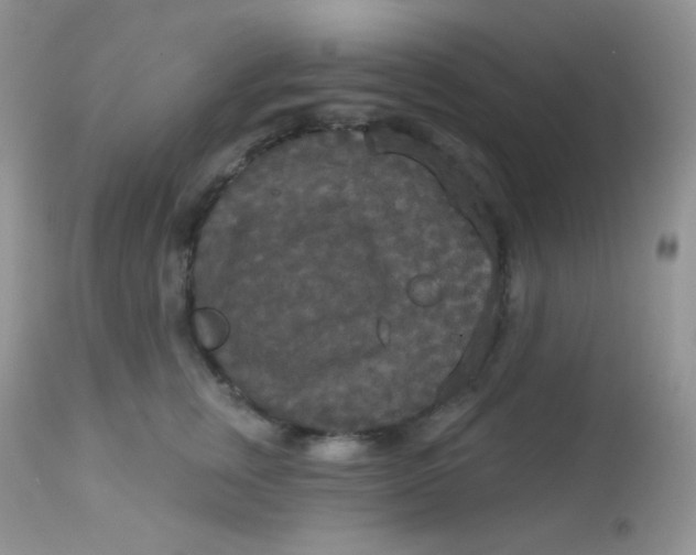 X0000113080759200909182049