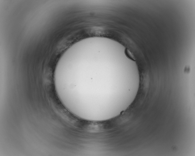 X0000113080760200909182049