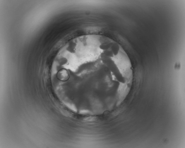 X0000113080761200909182049