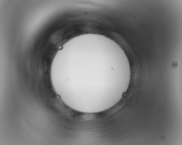 X0000113080762200909182049