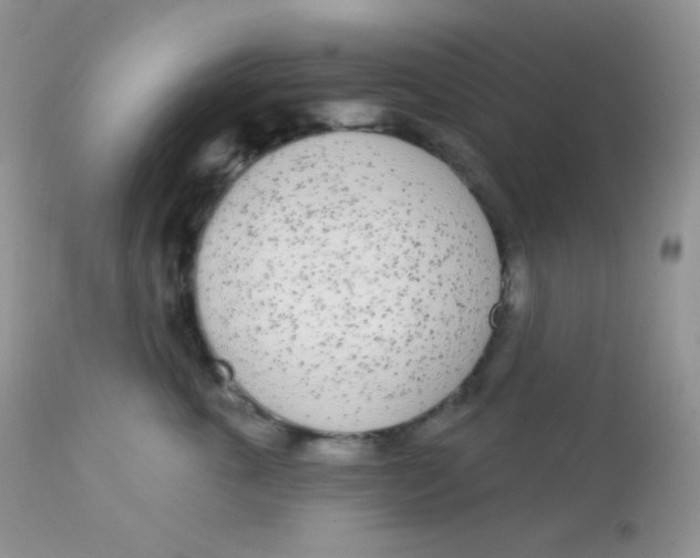 X0000113080763200909182049