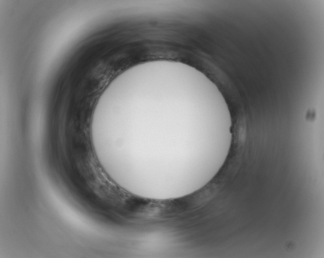 X0000113080764200909182049