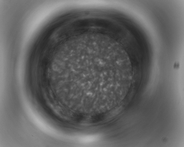 X0000113080765200909182049