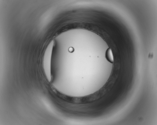 X0000113080766200909182049