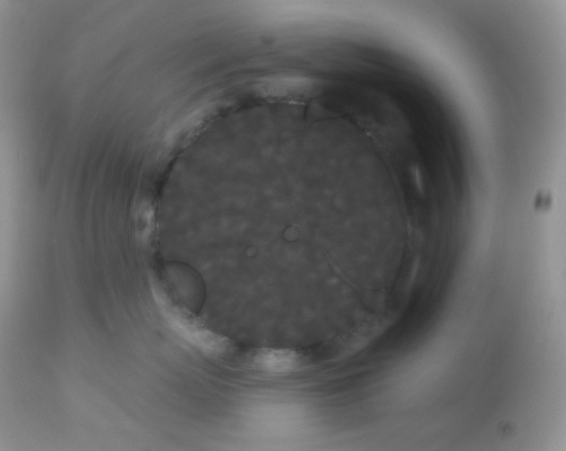 X0000113080767200909182049