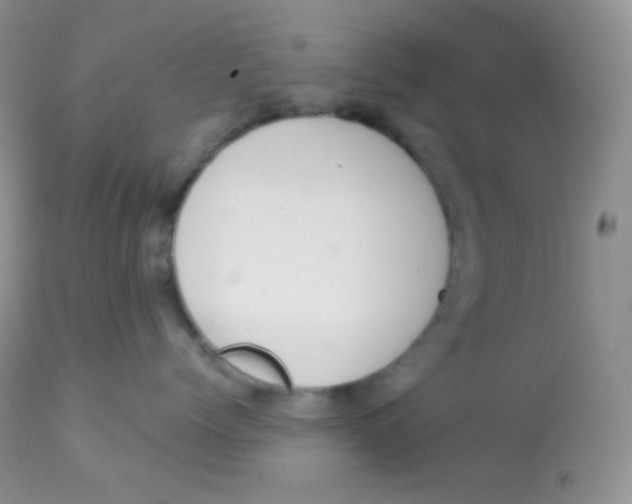 X0000113080768200909182049