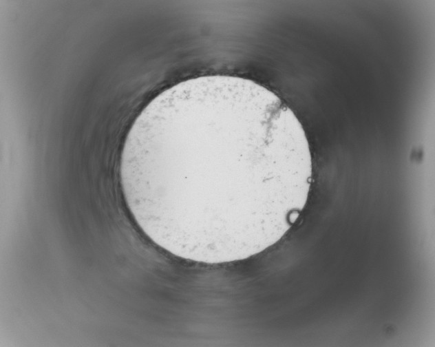 X0000113080769200909182048