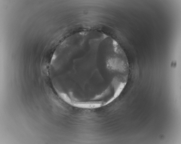 X0000113080770200909182048