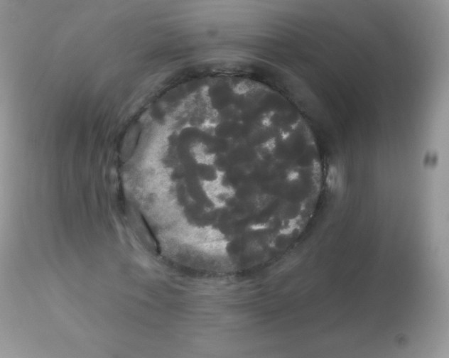 X0000113080771200909182048