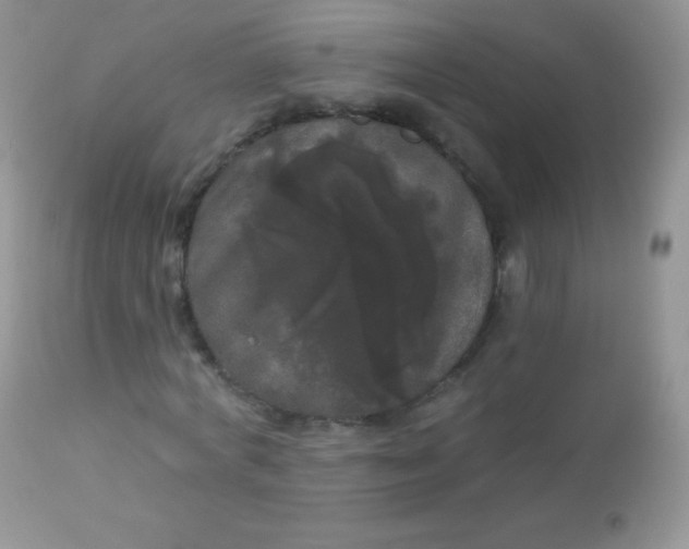 X0000113080772200909182048