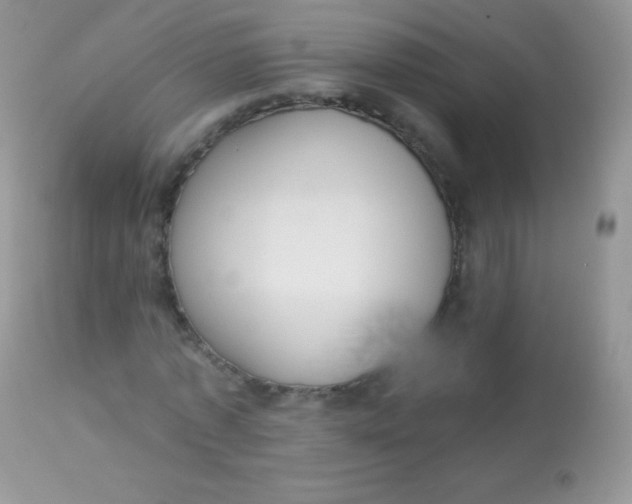 X0000113080773200909182048