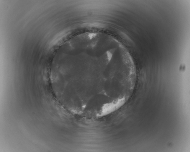 X0000113080774200909182048