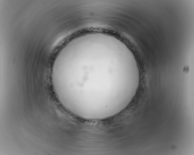 X0000113080775200909182048