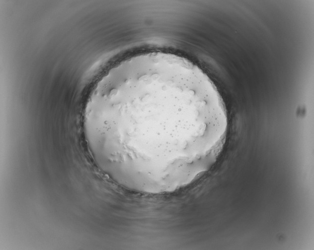 X0000113080776200909182048