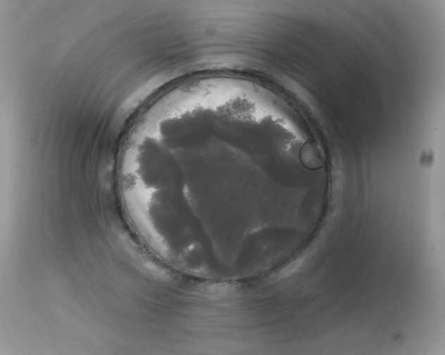 X0000113080778200909182048