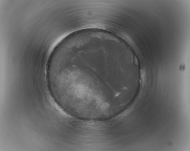 X0000113080780200909182048