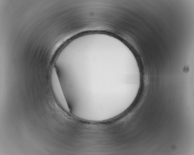 X0000113080781200909182048