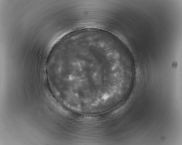 X0000113080782200909182048