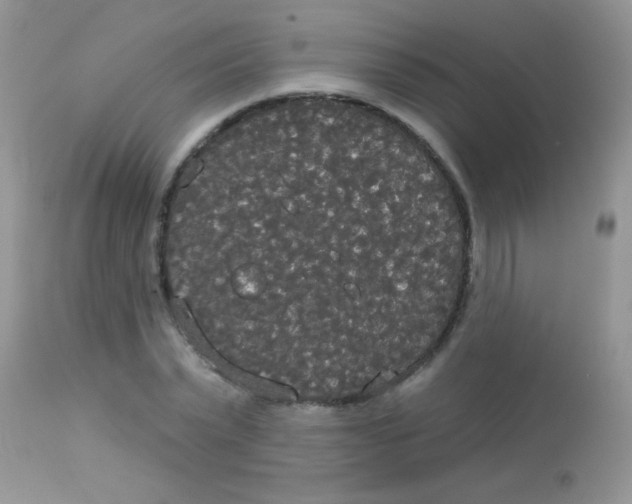 X0000113080783200909182048