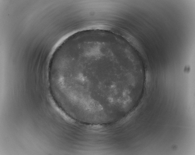 X0000113080784200909182048