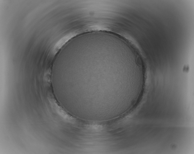 X0000113080785200909182048