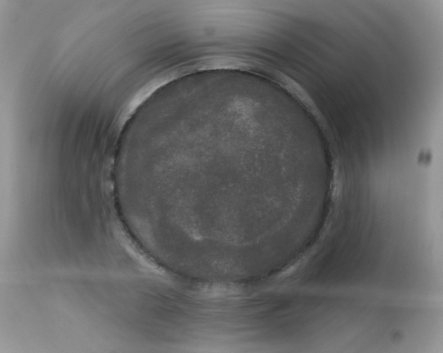 X0000113080786200909182048