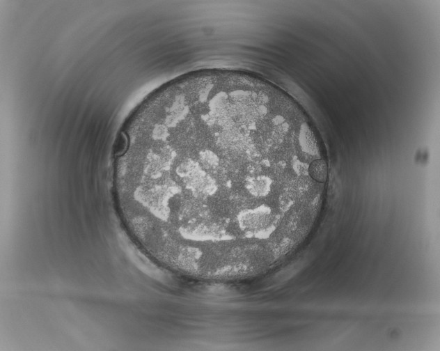 X0000113080787200909182048