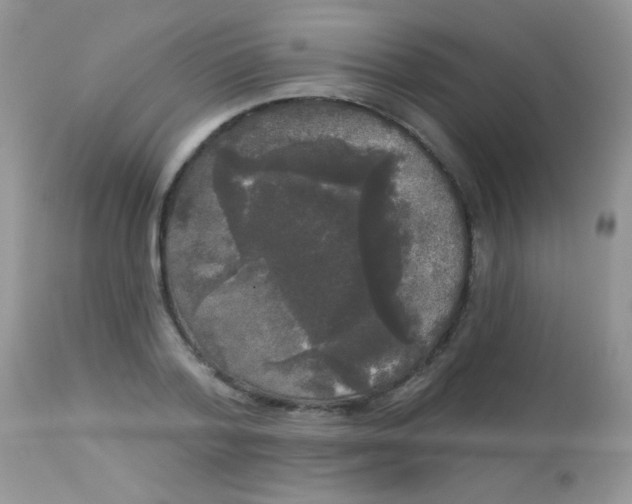 X0000113080788200909182048