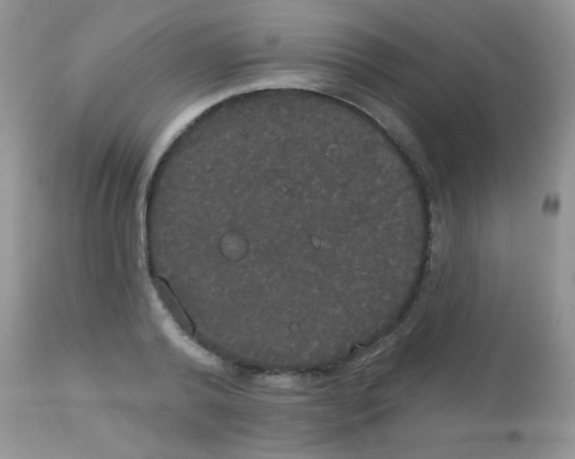 X0000113080792200909182048