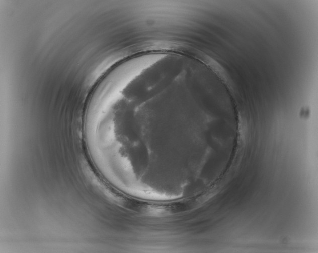 X0000113080794200909182048