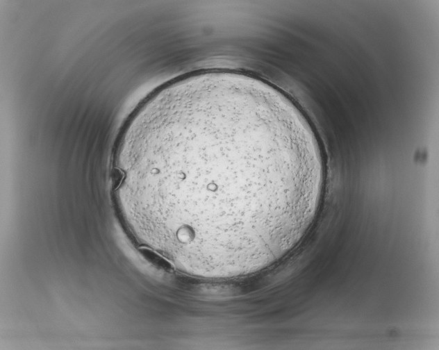 X0000113080795200909182048