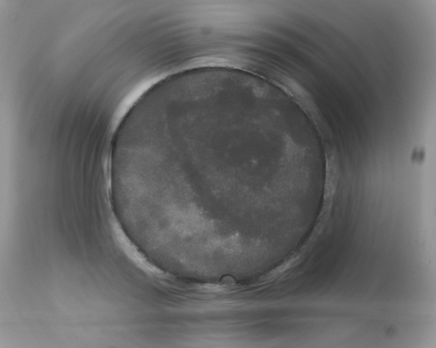 X0000113080796200909182048