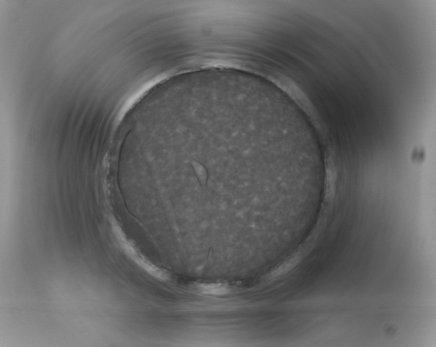 X0000113080798200909182048