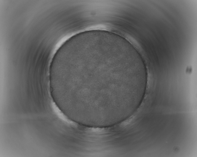 X0000113080800200909182048