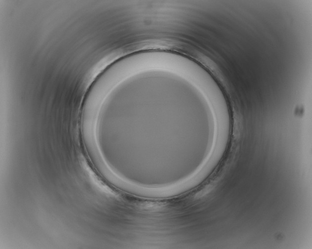 X0000113080802200909182048