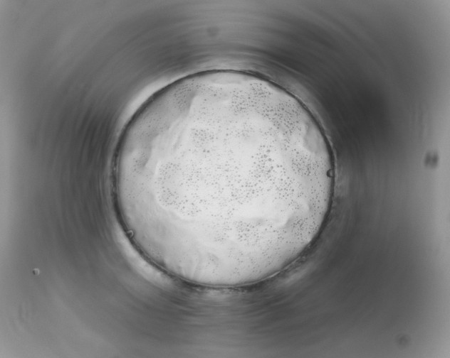 X0000113080803200909182048