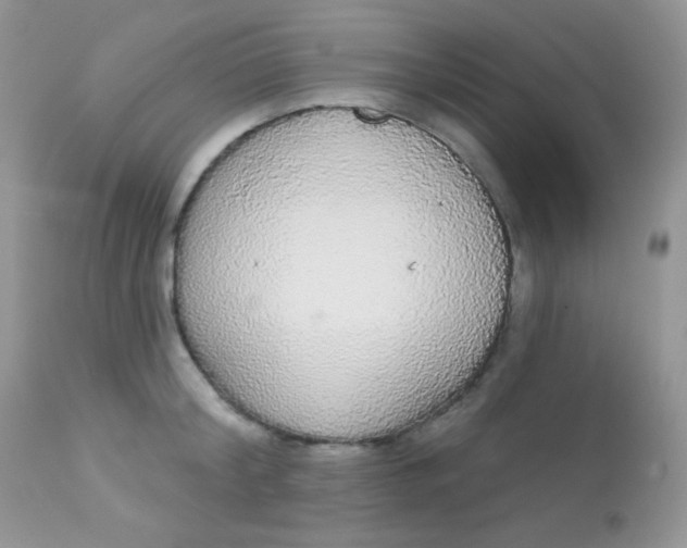 X0000113080804200909182048